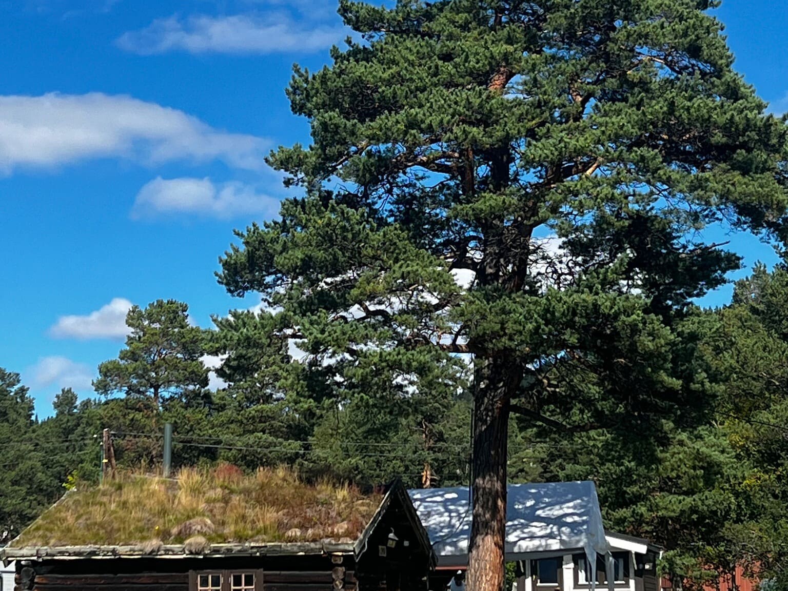 Smia leies ut til små samlinger